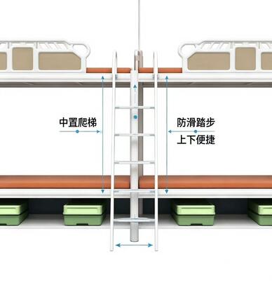 Commercial Metal Bunk Bed for Dormitory and Shared Accommodation